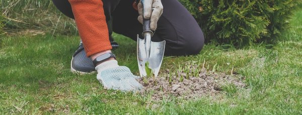 Quelles sont les meilleures écoles de langues pour apprendre l'arabe au Maroc ?