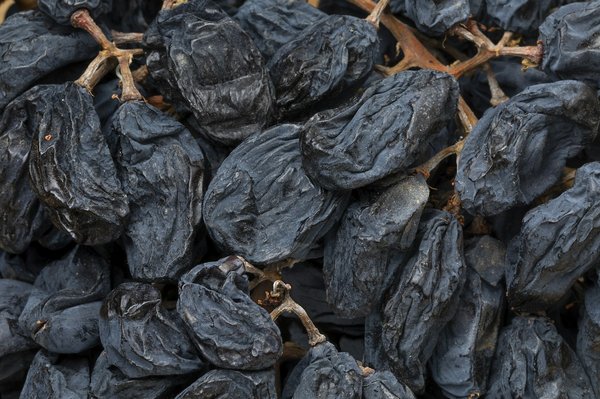 Où vivre une expérience de vendanges nocturnes dans les vignobles du Languedoc-Roussillon?